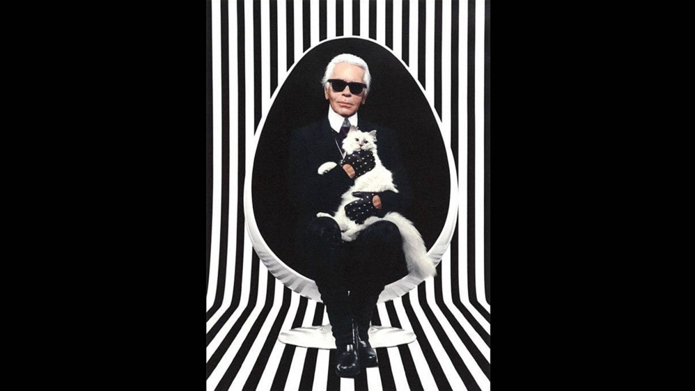 Fashionista kitty book