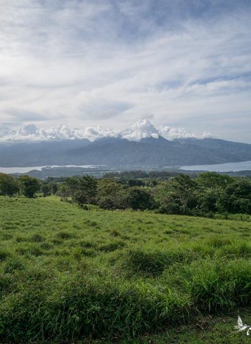belvédère du plateau de Taravao