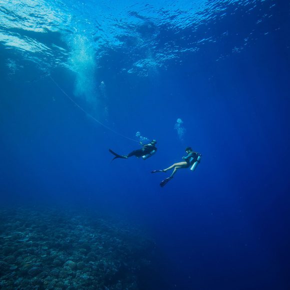 Tahiti : plongée à Papa-Wisky